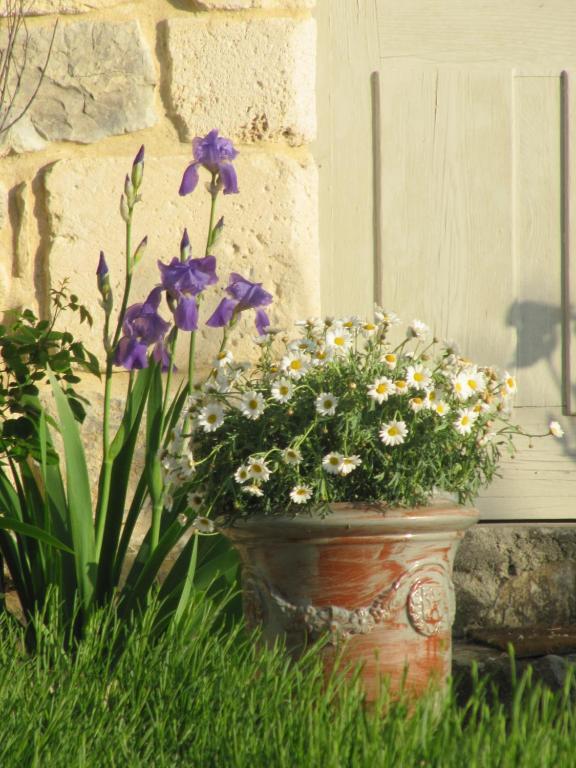 La Flor Azul Bed & Breakfast Grospierres Luaran gambar
