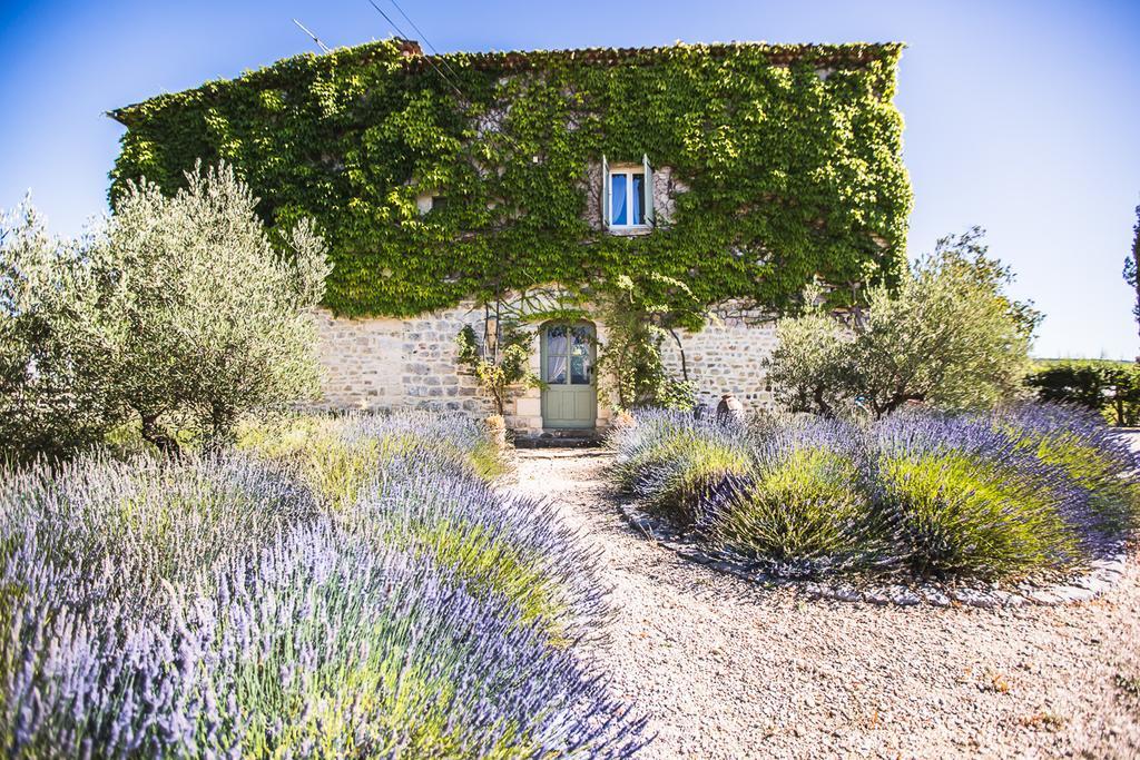 La Flor Azul Bed & Breakfast Grospierres Luaran gambar
